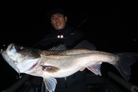 20240404194526_IMG_0827