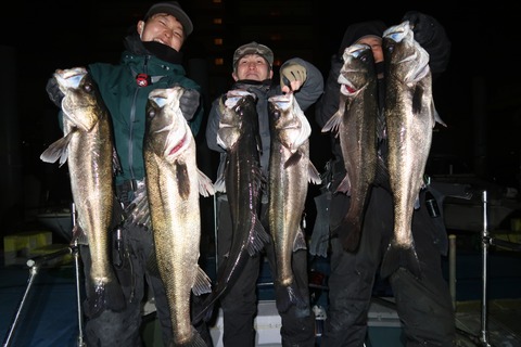 20221215031401_IMG_4144