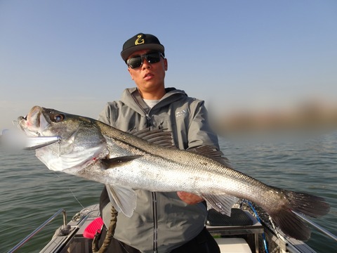 ぼかし丸_20191126_041023