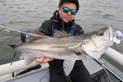 20201007160040_IMG_0452