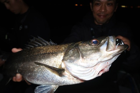 20240425195200_IMG_1212