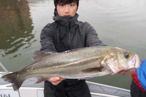 20200523094507_IMG_8994