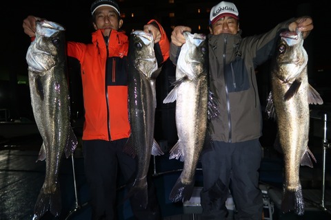 20221101024402_IMG_2900