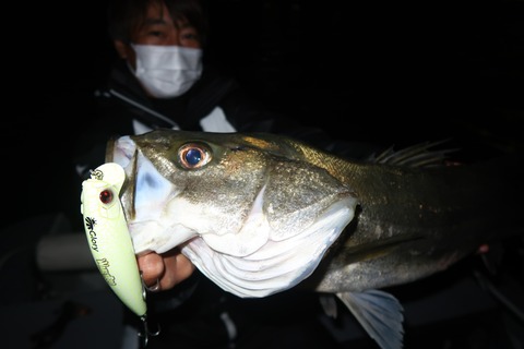 20221105192001_IMG_3002