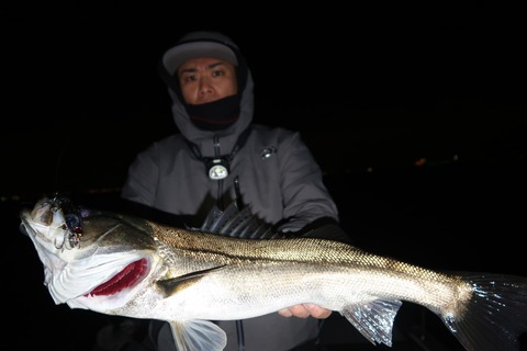 20200323222953_IMG_8102