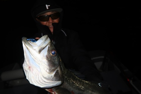 20200307205855_IMG_7892