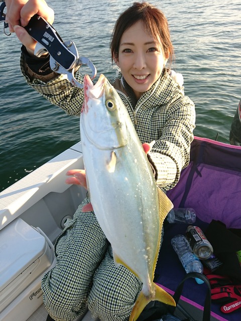 [画像:26630435-s.jpg]