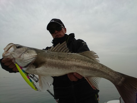 [画像:268ddc10-s.jpg]