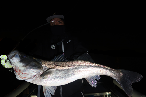 sketch-1639255220161