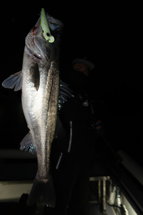 sketch-1639255247892