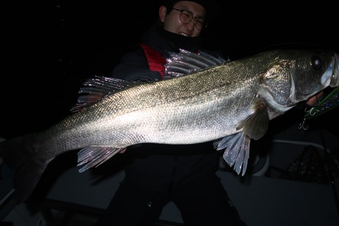 20221217011222_IMG_4151