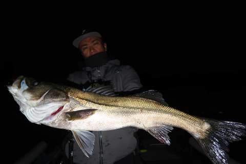 sketch-1635016547208