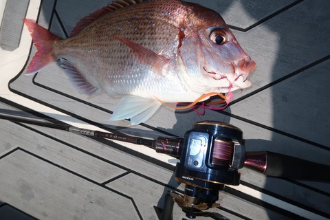 20220328103605_IMG_0338