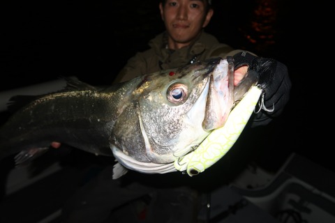 20201024000848_IMG_0822