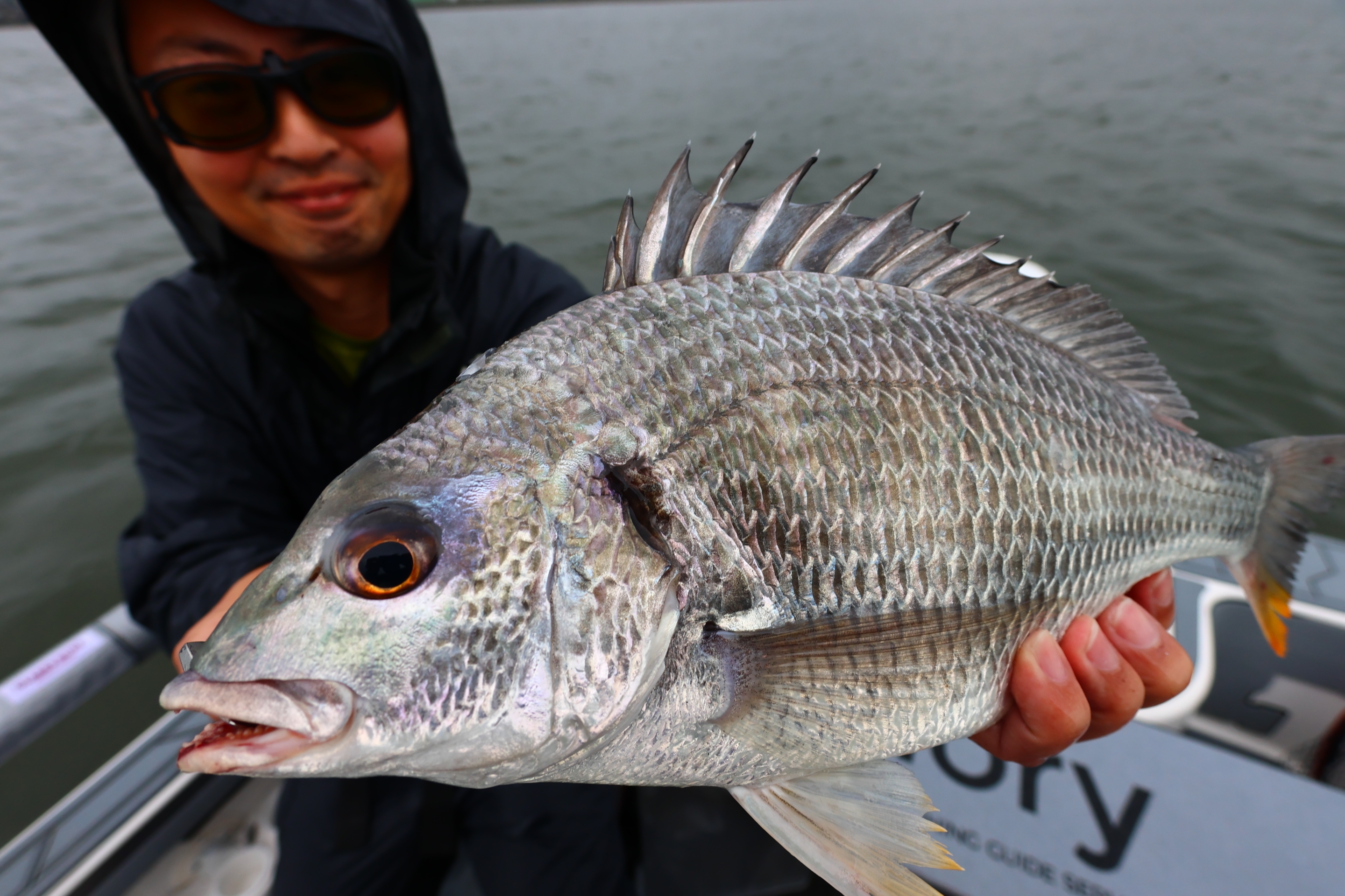 6月20日釣果情報！！ : TOKYOBAY FISHING GUIDE SERVICE Glory
