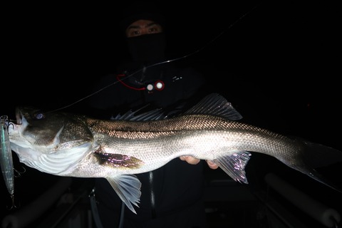 20240406202014_IMG_0864