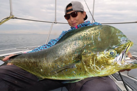 sketch-1594634975064