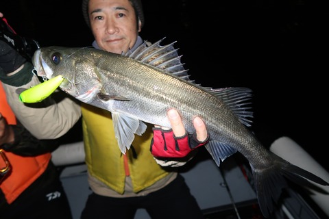 20221105212526_IMG_3013