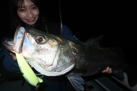 20231114203539_IMG_8464