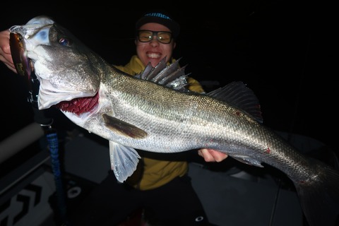 20221118213547_IMG_3404