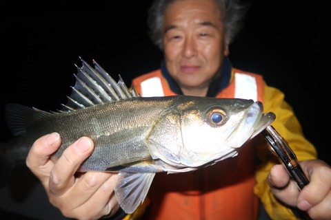 20231028222600_IMG_8246