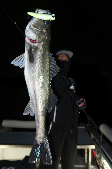 sketch-1648237902040