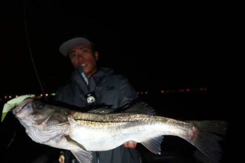 20201003220951_IMG_0364