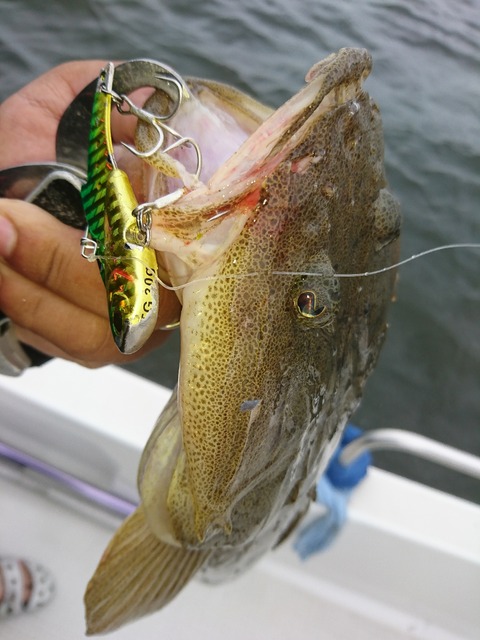 [画像:2c3fb50d-s.jpg]