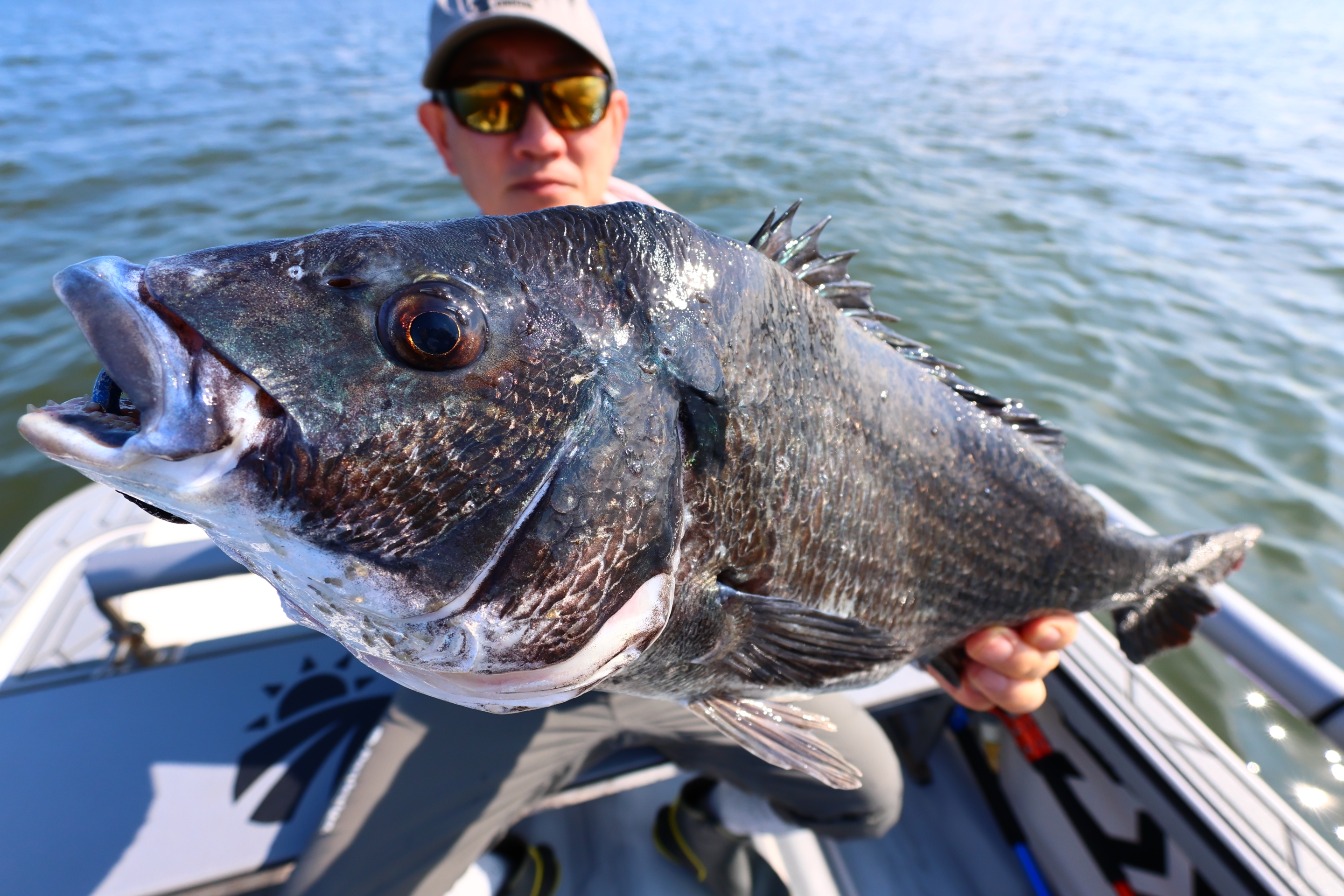 6月21日釣果情報！！ : TOKYOBAY FISHING GUIDE SERVICE Glory