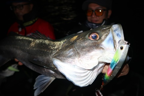 20221217180620_IMG_4177