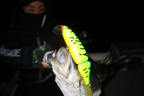 20200123003150_IMG_7194