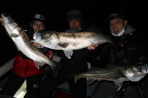 20221021222652_IMG_2623