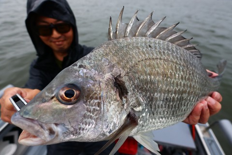 6月20日釣果情報！！ : TOKYOBAY FISHING GUIDE SERVICE Glory