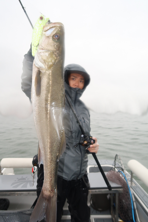 sketch-1602328532358