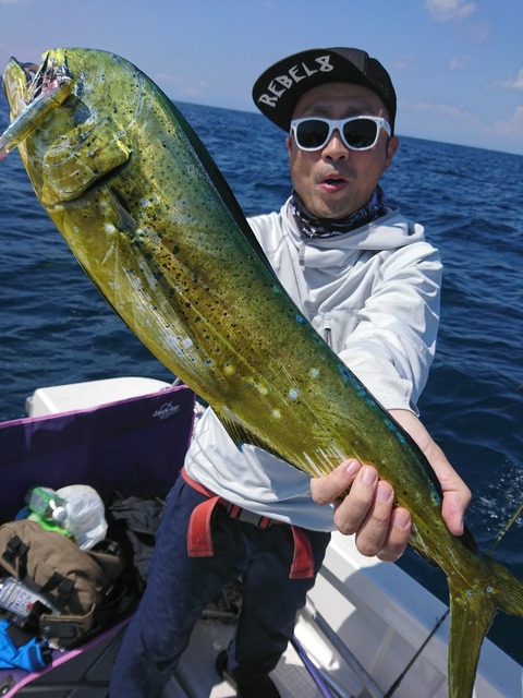 [画像:2eeb90be-s.jpg]