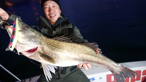 sketch-1544187205499