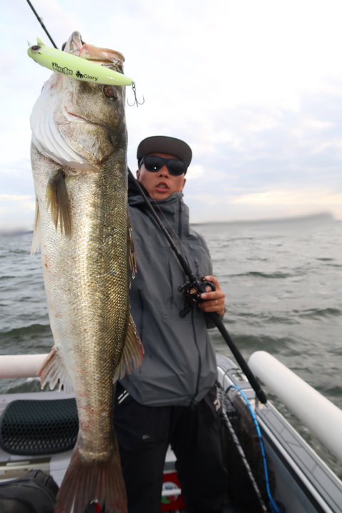 sketch-1601375385335