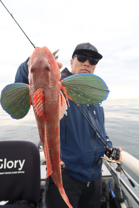 20240408151856_IMG_0942