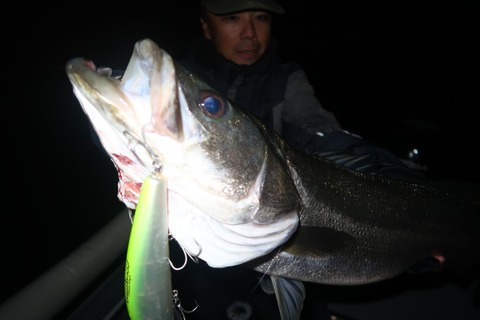 20221118181421_IMG_3375