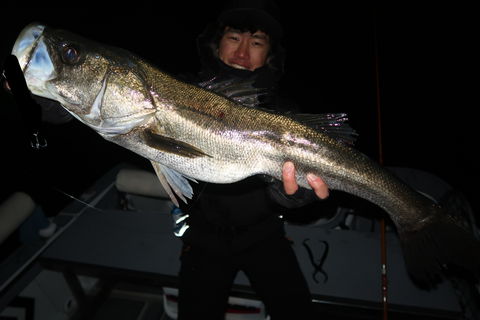 sketch-1671234105864