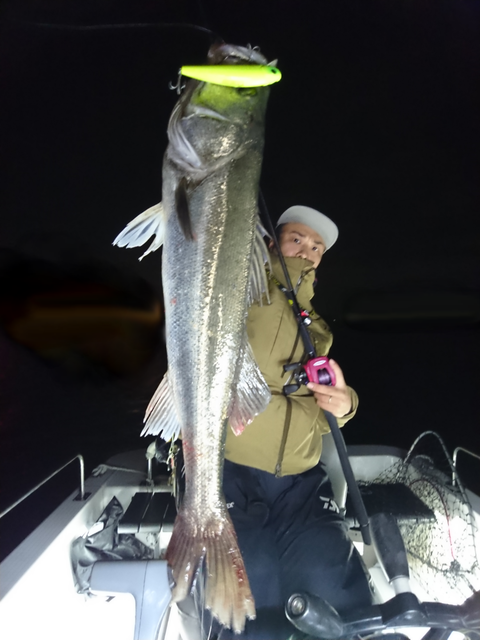 sketch-1540245593096