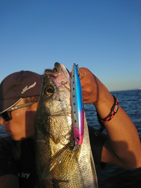 [画像:30ac400c-s.jpg]