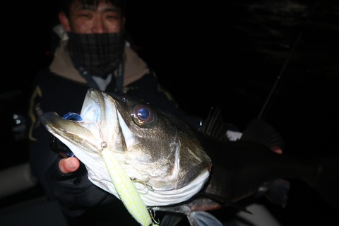 20220220192939_IMG_9711