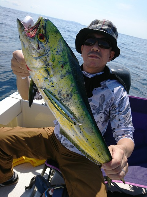 [画像:320e1a28-s.jpg]