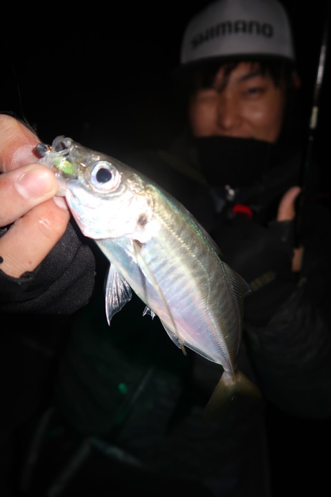 20200125000455_IMG_7236