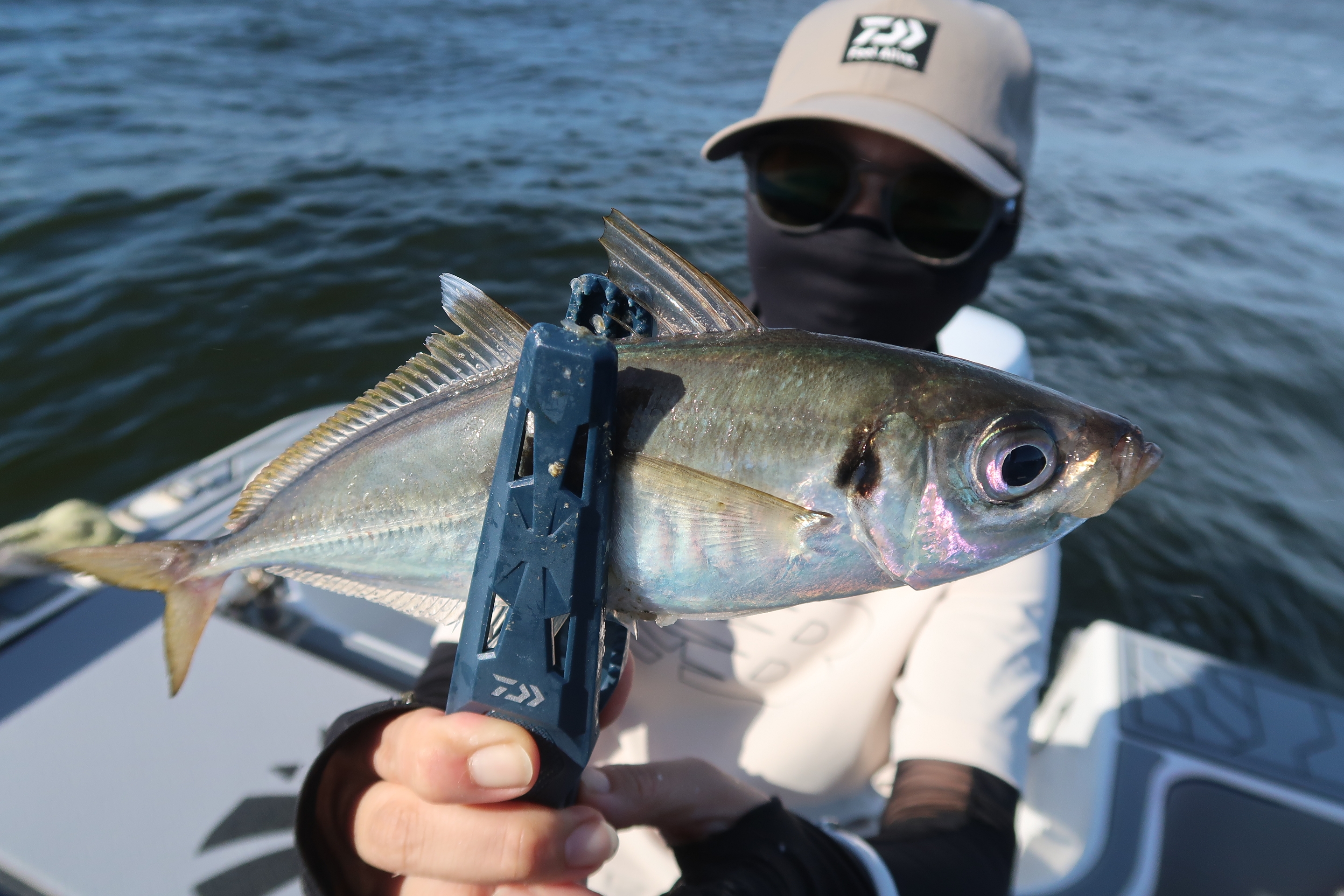 7月20日釣果情報！！ : TOKYOBAY FISHING GUIDE SERVICE Glory