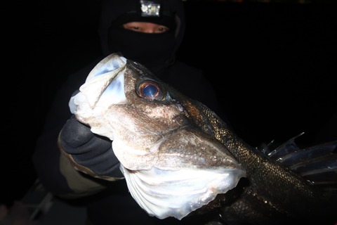 20210130185755_IMG_2895