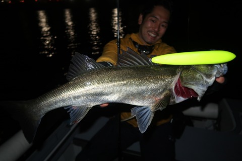 20211023215210_IMG_6905