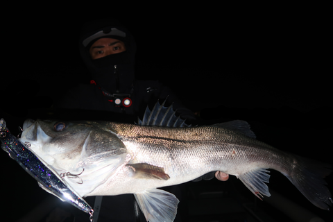 sketch-1699898126274