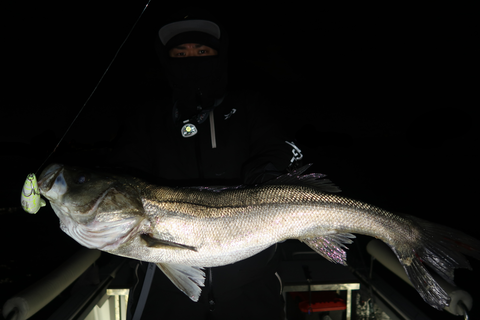 sketch-1645380535906